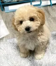 Obrazek #1 z Teresa Rejent