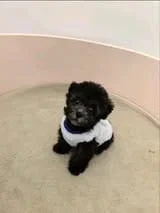 Obrazek #1 z Brygida Zawada